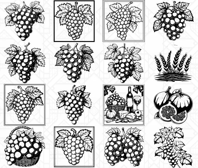 Mediterranean Fruits SVG Bundle - CraftNest - Digital Crafting and Art