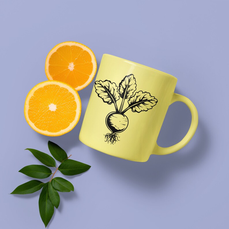 Minimalist Fruits SVG Bundle - CraftNest - Digital Crafting and Art