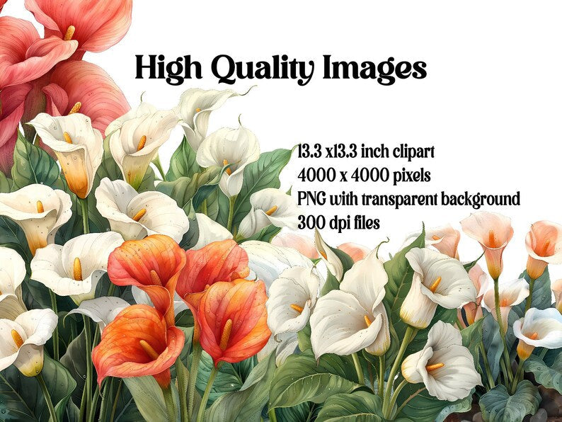 Calla Flowers Clipart - CraftNest - Digital Crafting and Art
