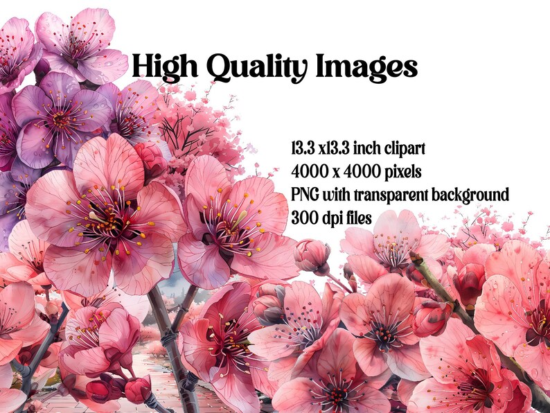 Cherry Flowers Clipart - CraftNest - Digital Crafting and Art