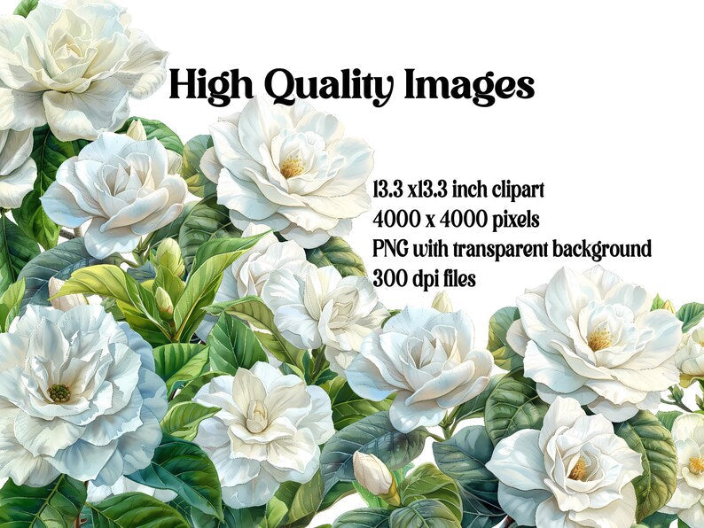 Gardenias Flowers Clipart - CraftNest - Digital Crafting and Art