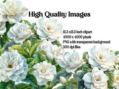Gardenias Flowers Clipart - CraftNest - Digital Crafting and Art