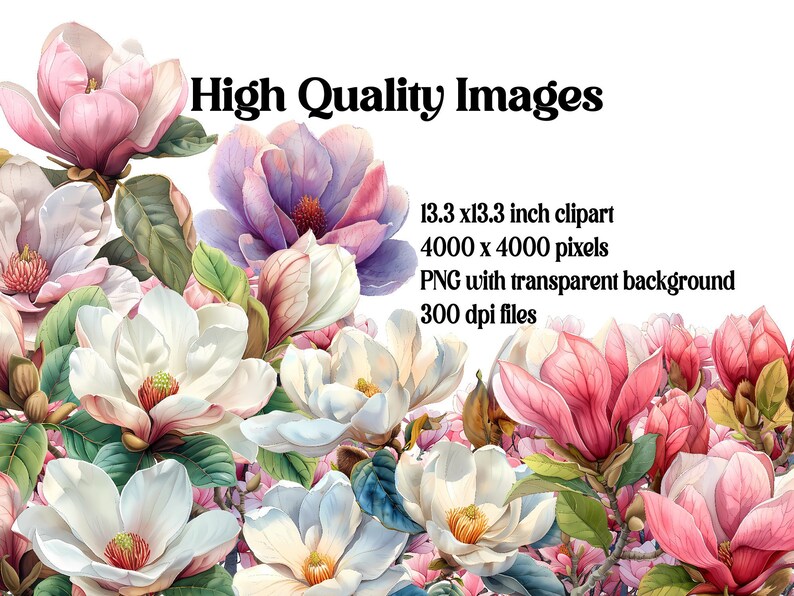 Magnolias Flowers Clipart - CraftNest - Digital Crafting and Art