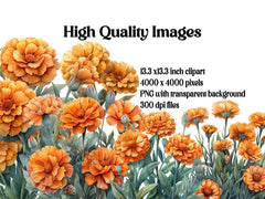 Marigolds Flowers Clipart - CraftNest - Digital Crafting and Art