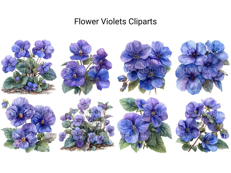 Violets Flowers Clipart - CraftNest - Digital Crafting and Art