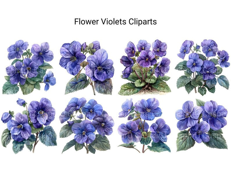 Violets Flowers Clipart - CraftNest - Digital Crafting and Art