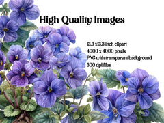 Violets Flowers Clipart - CraftNest - Digital Crafting and Art
