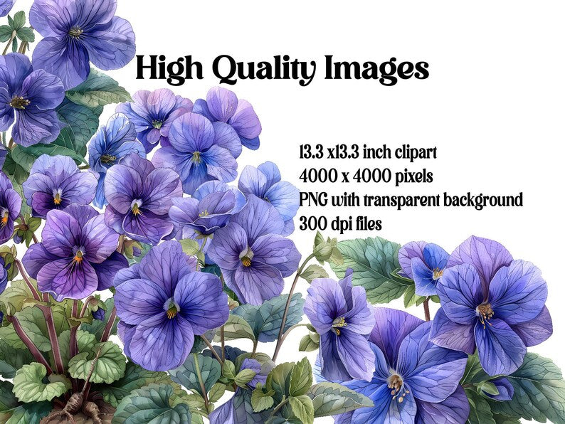 Violets Flowers Clipart - CraftNest - Digital Crafting and Art