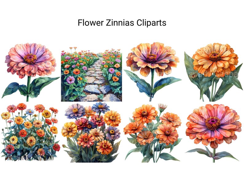 Zinnias Flowers Clipart - CraftNest - Digital Crafting and Art
