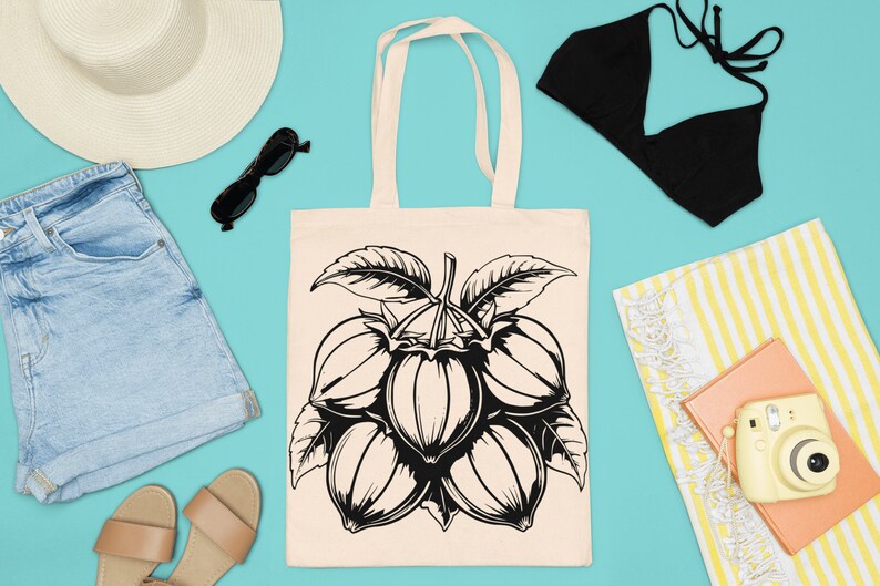 Asian Fruits SVG Bundle - CraftNest - Digital Crafting and Art