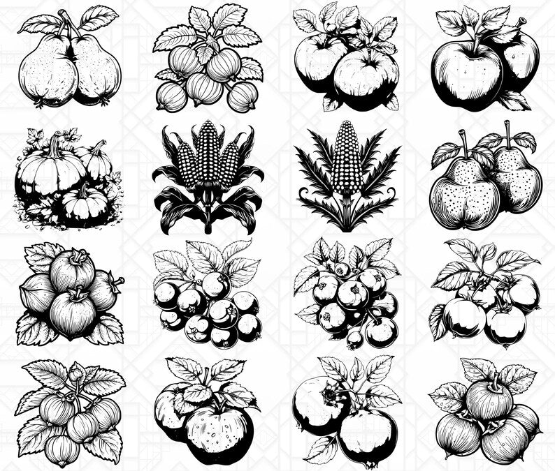 Autumn Fruits SVG Bundle - CraftNest - Digital Crafting and Art