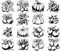 Autumn Fruits SVG Bundle - CraftNest - Digital Crafting and Art