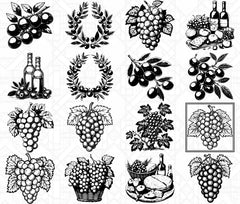 Mediterranean Fruits SVG Bundle - CraftNest - Digital Crafting and Art