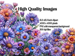 Asters Flowers Clipart - CraftNest - Digital Crafting and Art