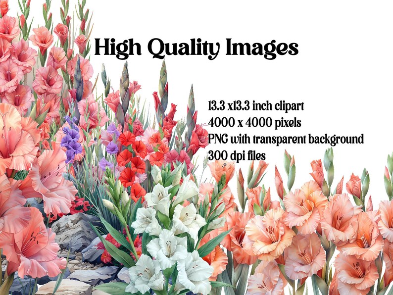 Gladiolus Flowers Clipart - CraftNest - Digital Crafting and Art