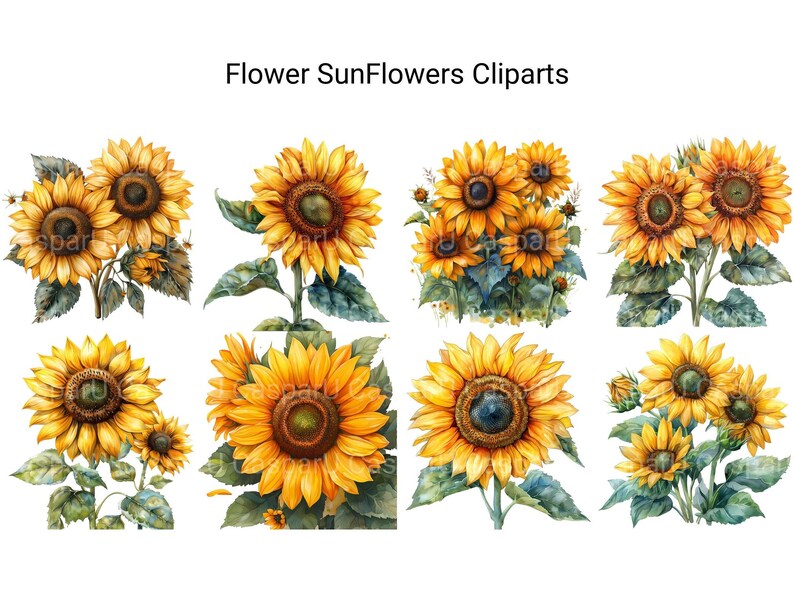 Sunflowers Flowers Clipart - CraftNest - Digital Crafting and Art