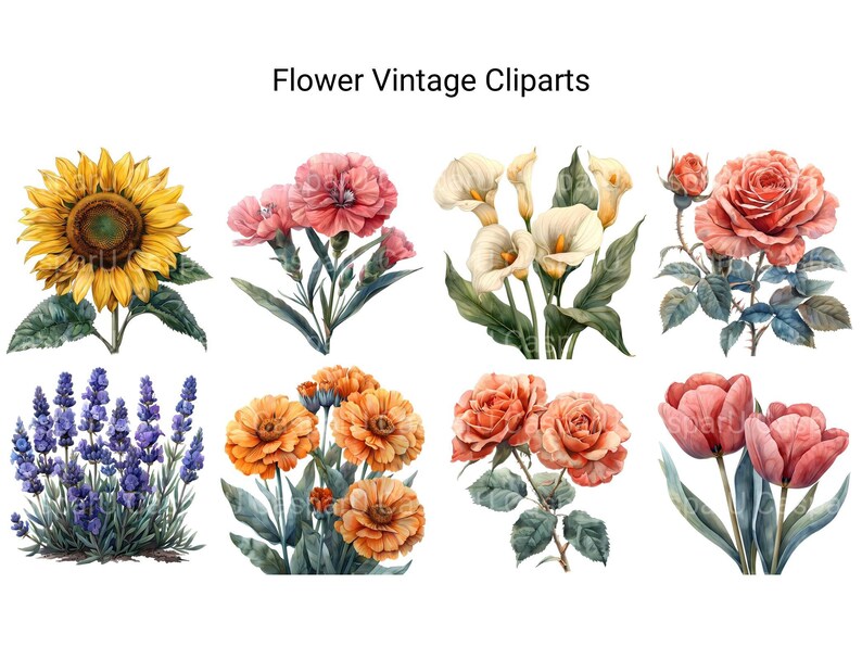 Vintage Flowers Clipart - CraftNest - Digital Crafting and Art