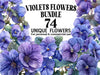 Violets Flowers