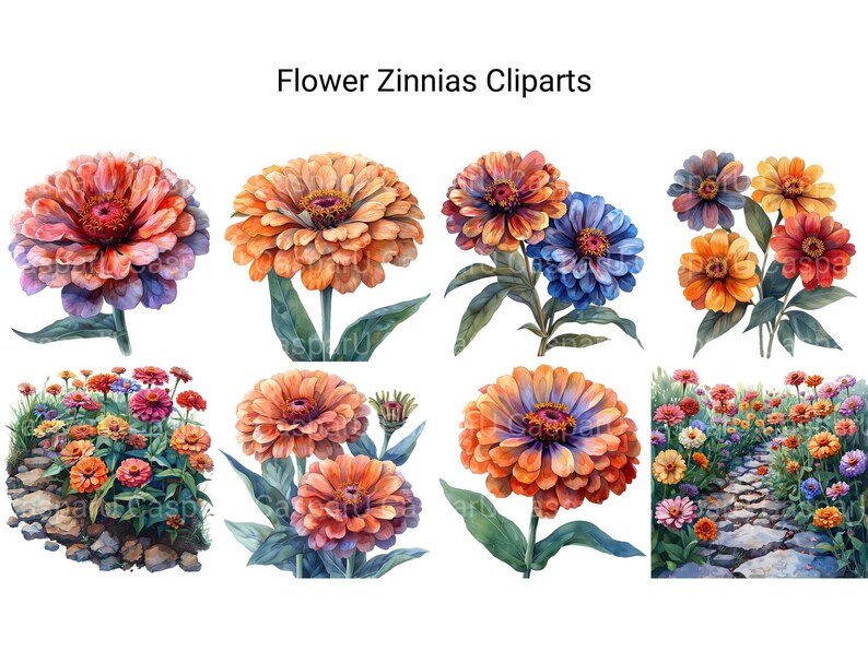 Zinnias Flowers Clipart - CraftNest - Digital Crafting and Art