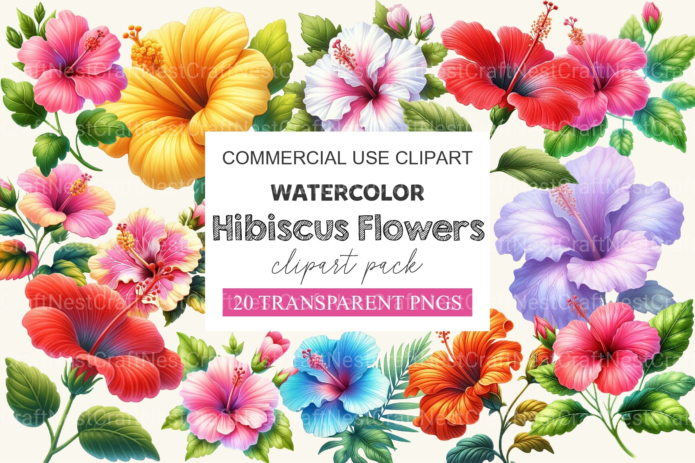 Hibiscus Flowers Clipart Bundle 2