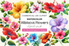 Hibiscus Flowers Clipart Bundle