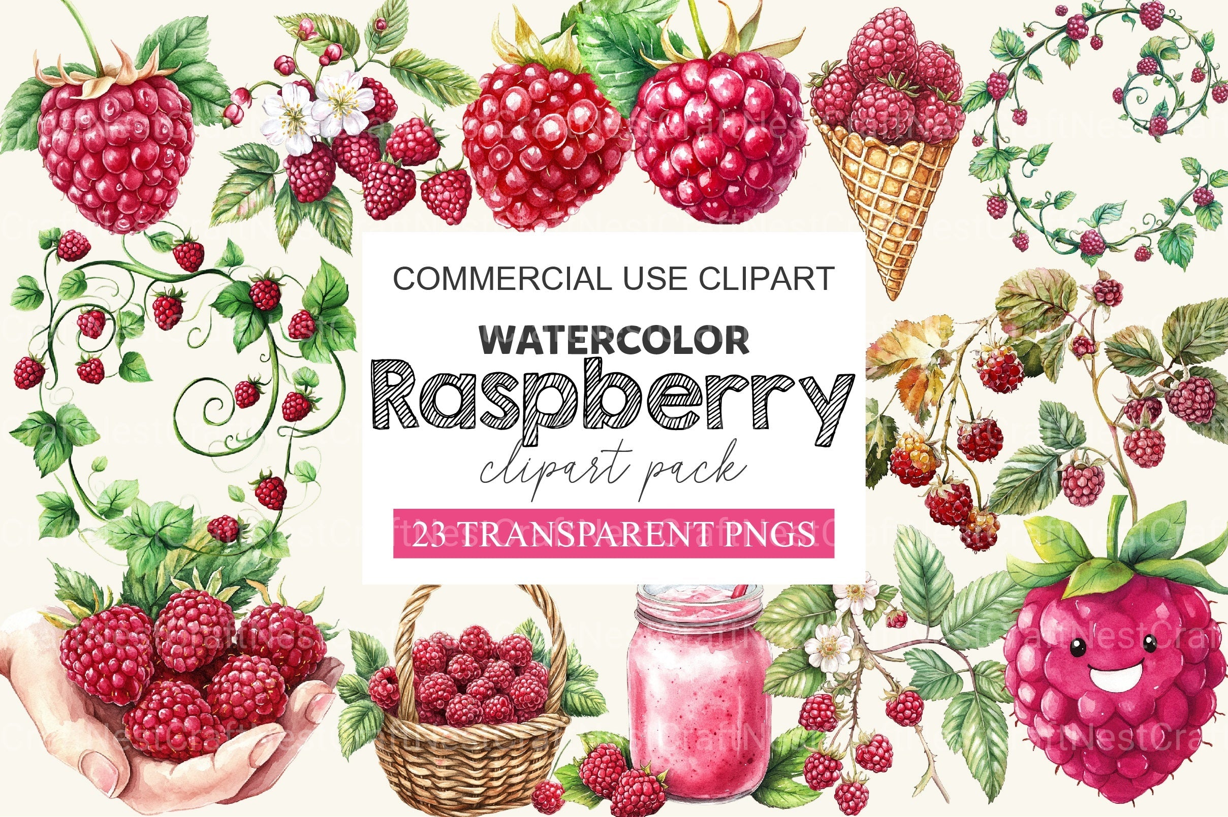 Raspberry Clipart Bundle 2