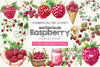 Raspberry Clipart Bundle 2