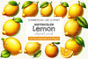 Lemon Clipart Bundle 1