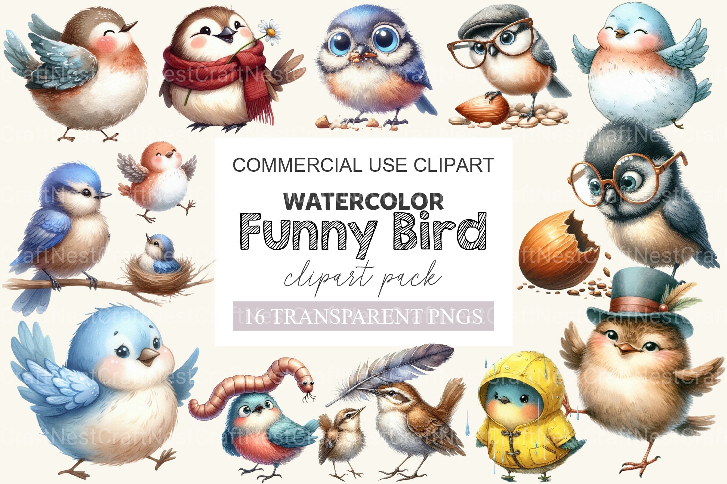 Funny Bird Clipart Bundle 6