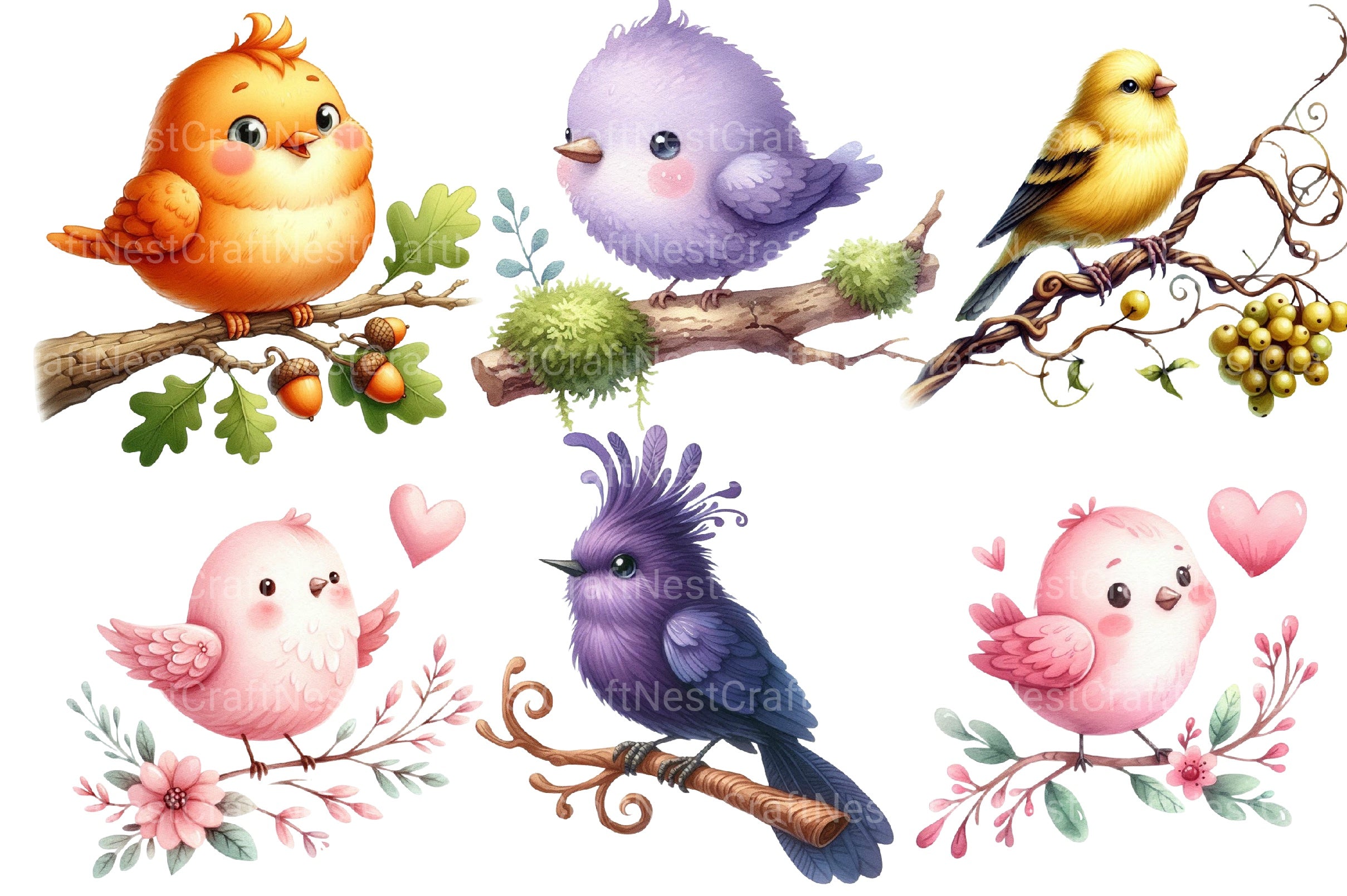 Colorful Birds On Branch Clipart Bundle