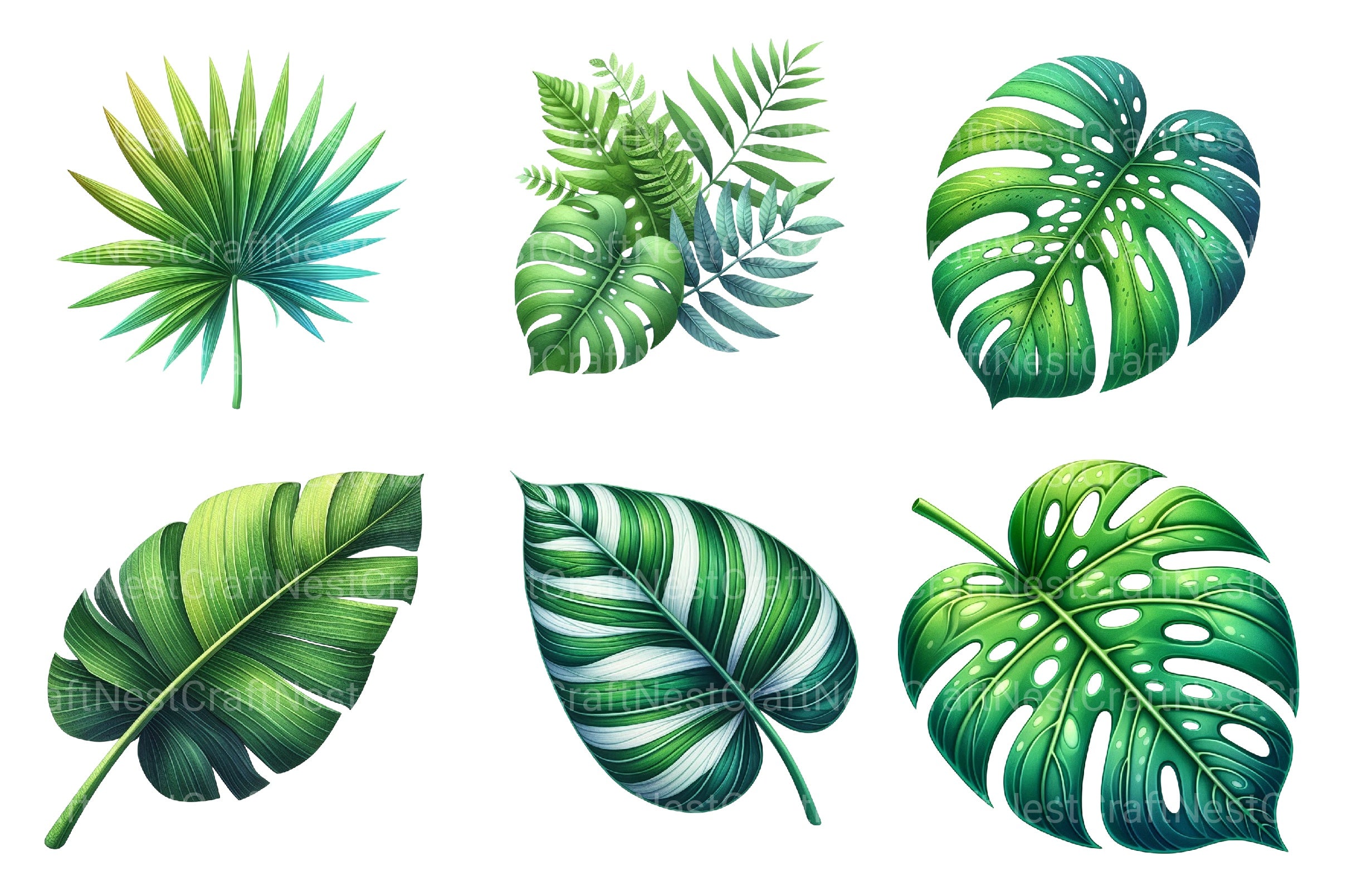 Tropical Leaves Clipart Bundle