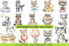 Cute Baby Wolf Clipart