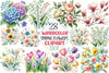 Spring Jasmine Flower Clipart Bundle