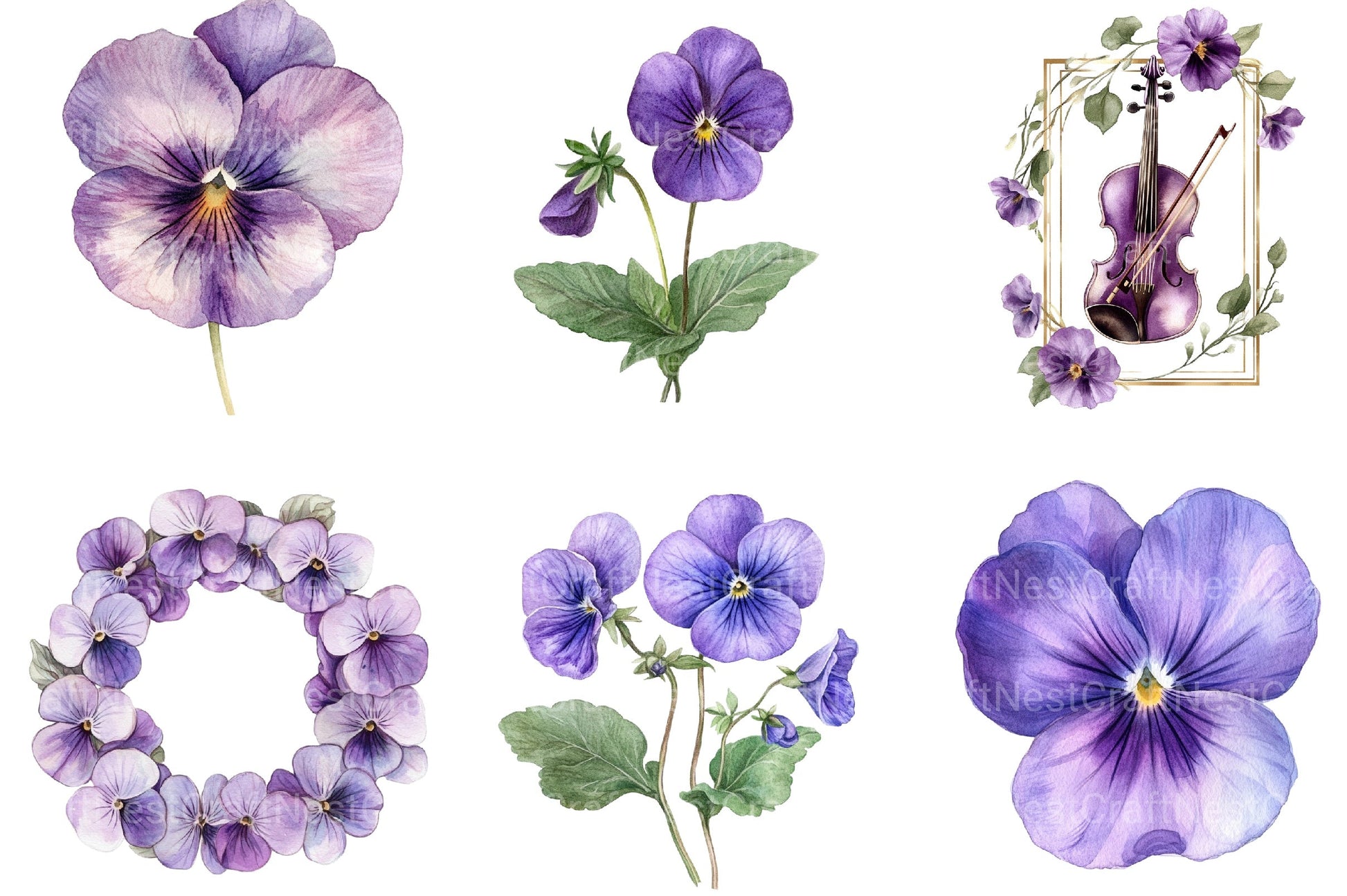 Viola Flower Bloom Clipart Bundle - CraftNest - Digital Crafting and Art