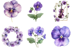 Viola Flower Bloom Clipart Bundle - CraftNest - Digital Crafting and Art