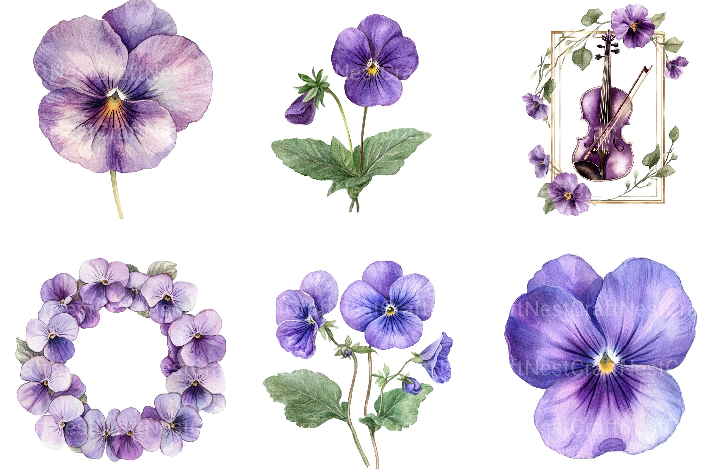Viola Flower Bloom Clipart Bundle - CraftNest - Digital Crafting and Art