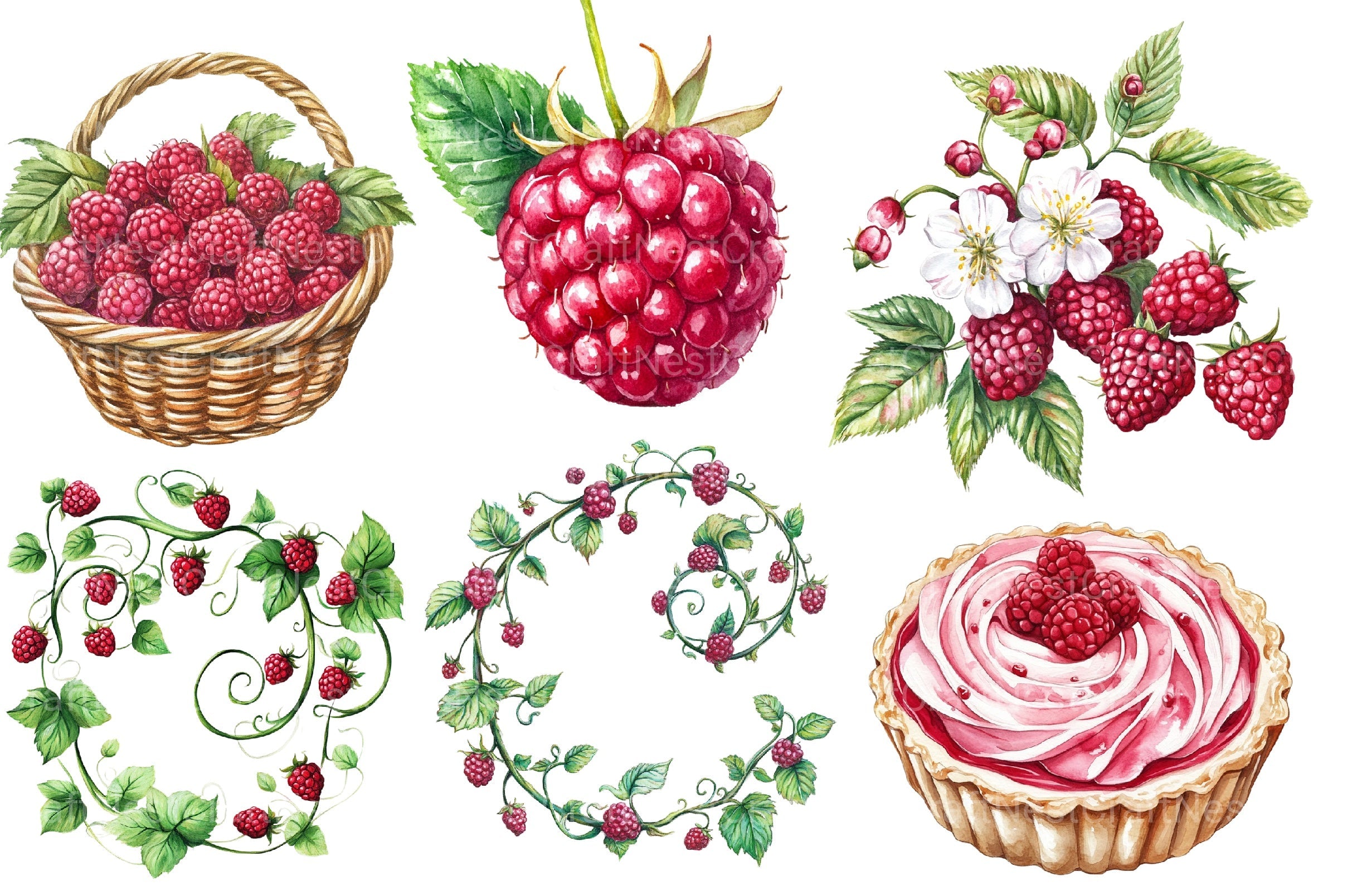 Raspberry Clipart Bundle 2