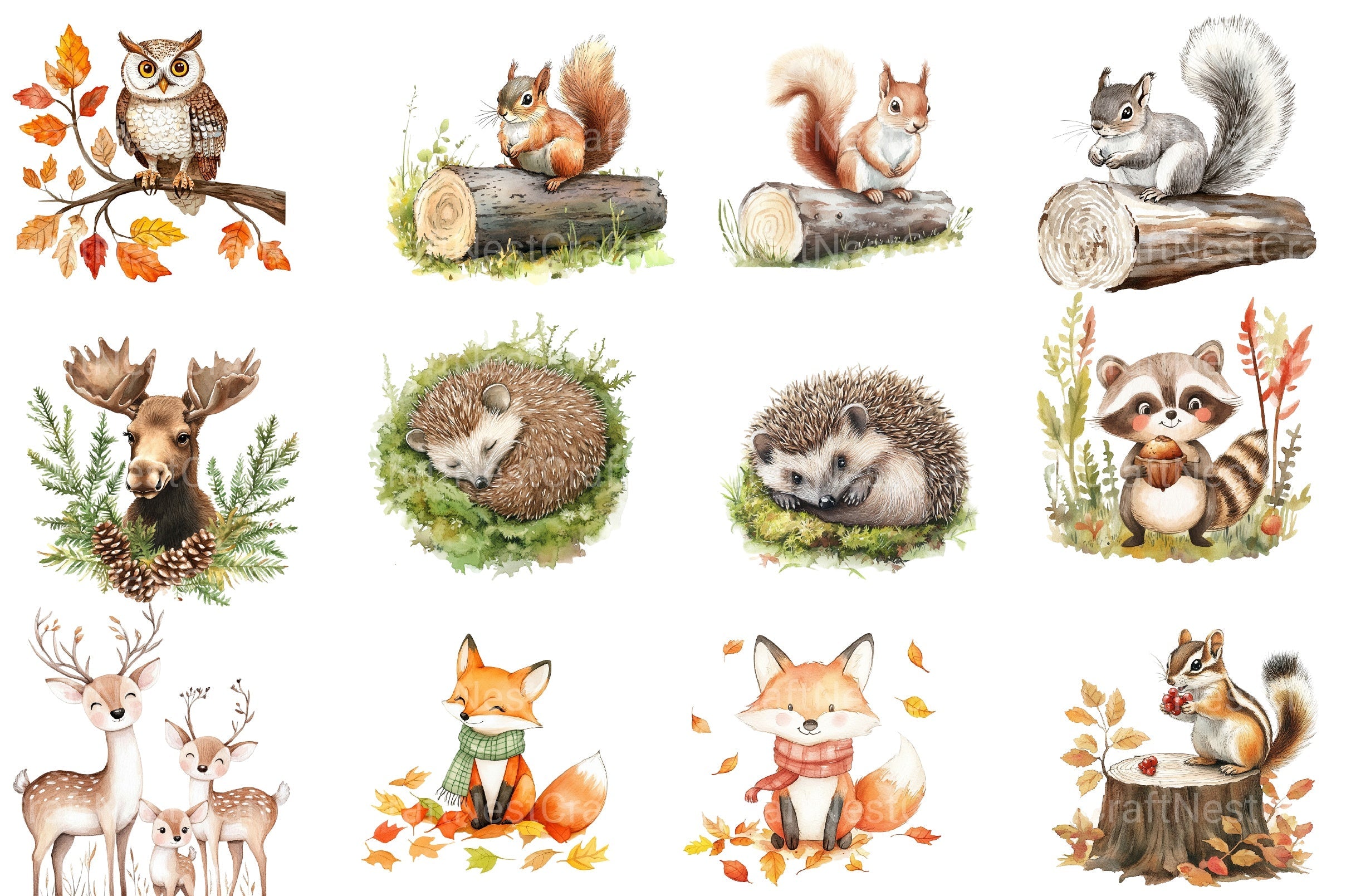 Woodland Forest Animals Clipart Bundle 9