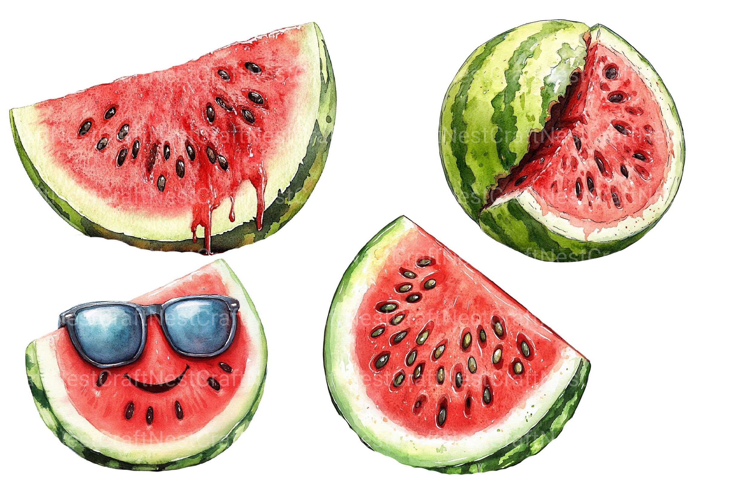 Summer Watermelon Clipart Bundle 4