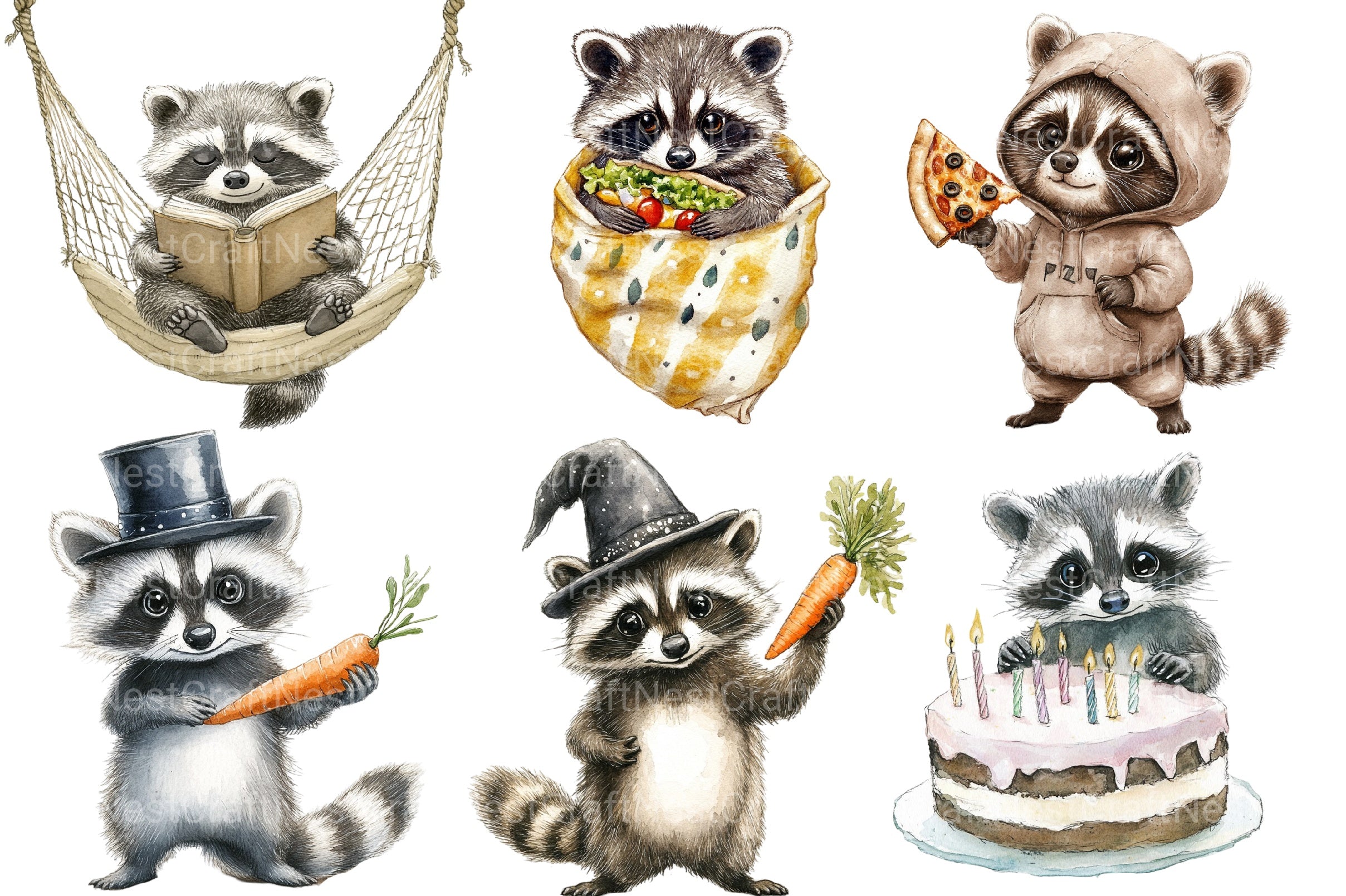 Funny Raccoon Clipart Bundle 2