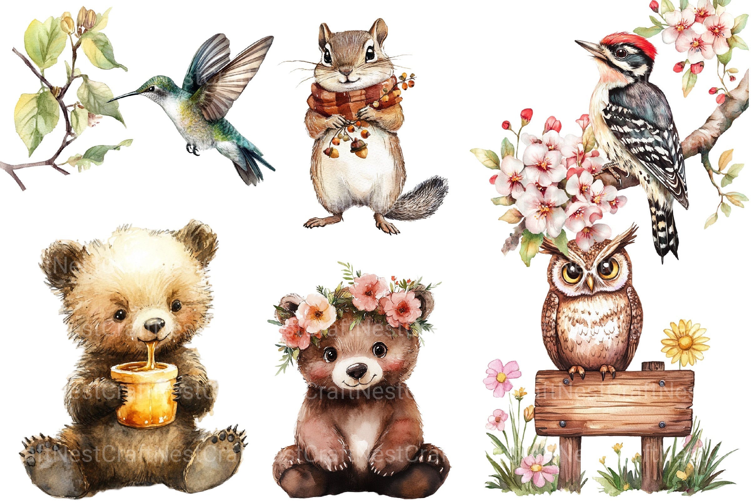 Summer Woodland Animals Clipart Bundle