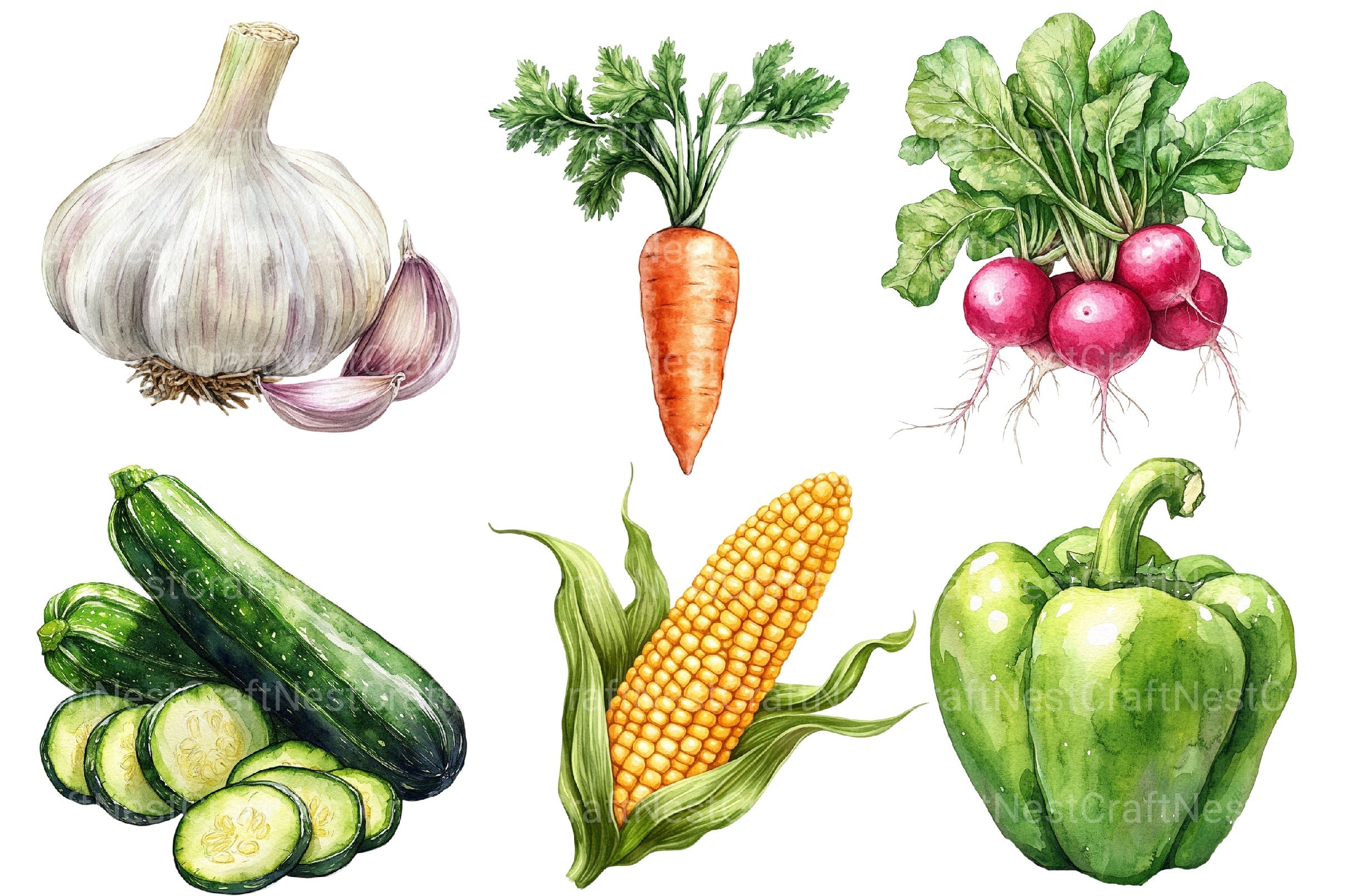 Vegetables Clipart Bundle 2