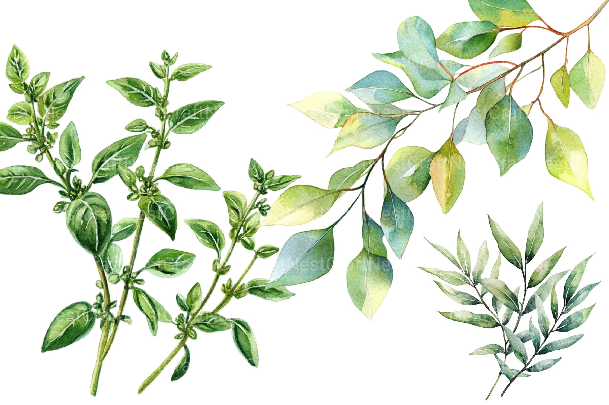 Green Summer Foliage Clipart Bundle