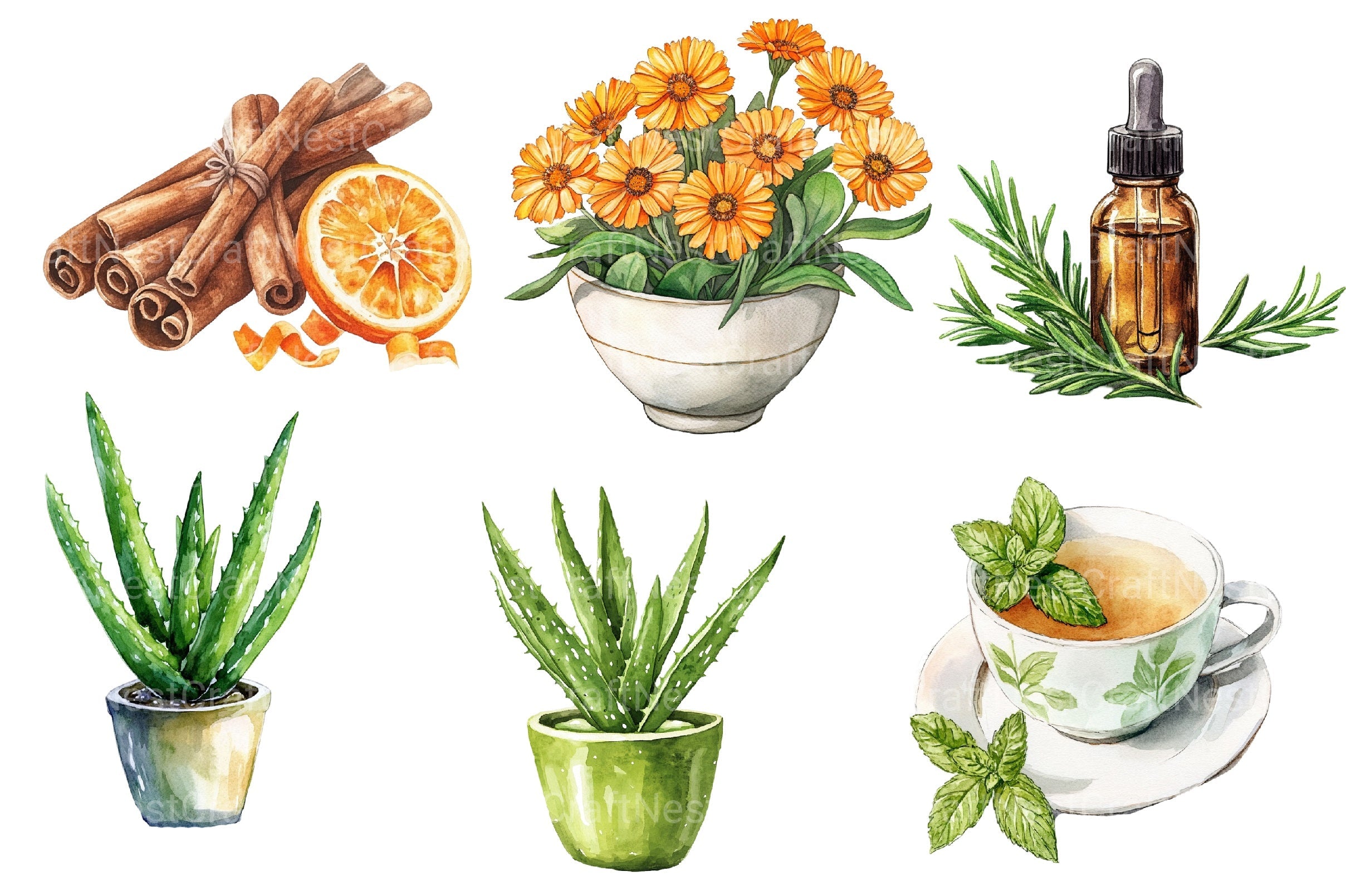 Natural Remedies Clipart Bundle 2