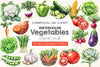 Vegetables Clipart Bundle 2