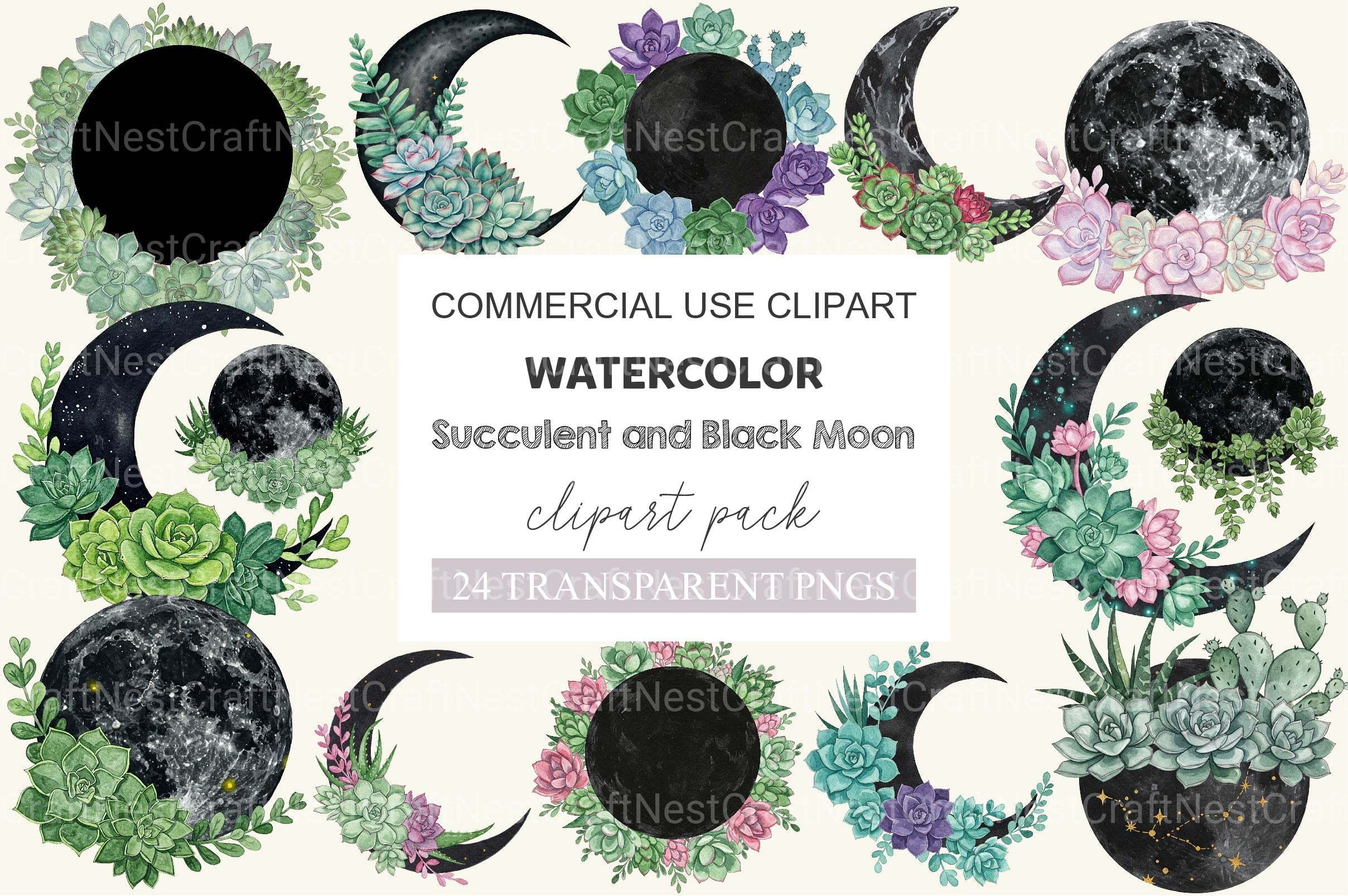 Succulent And Black Moon Clipart Bundle