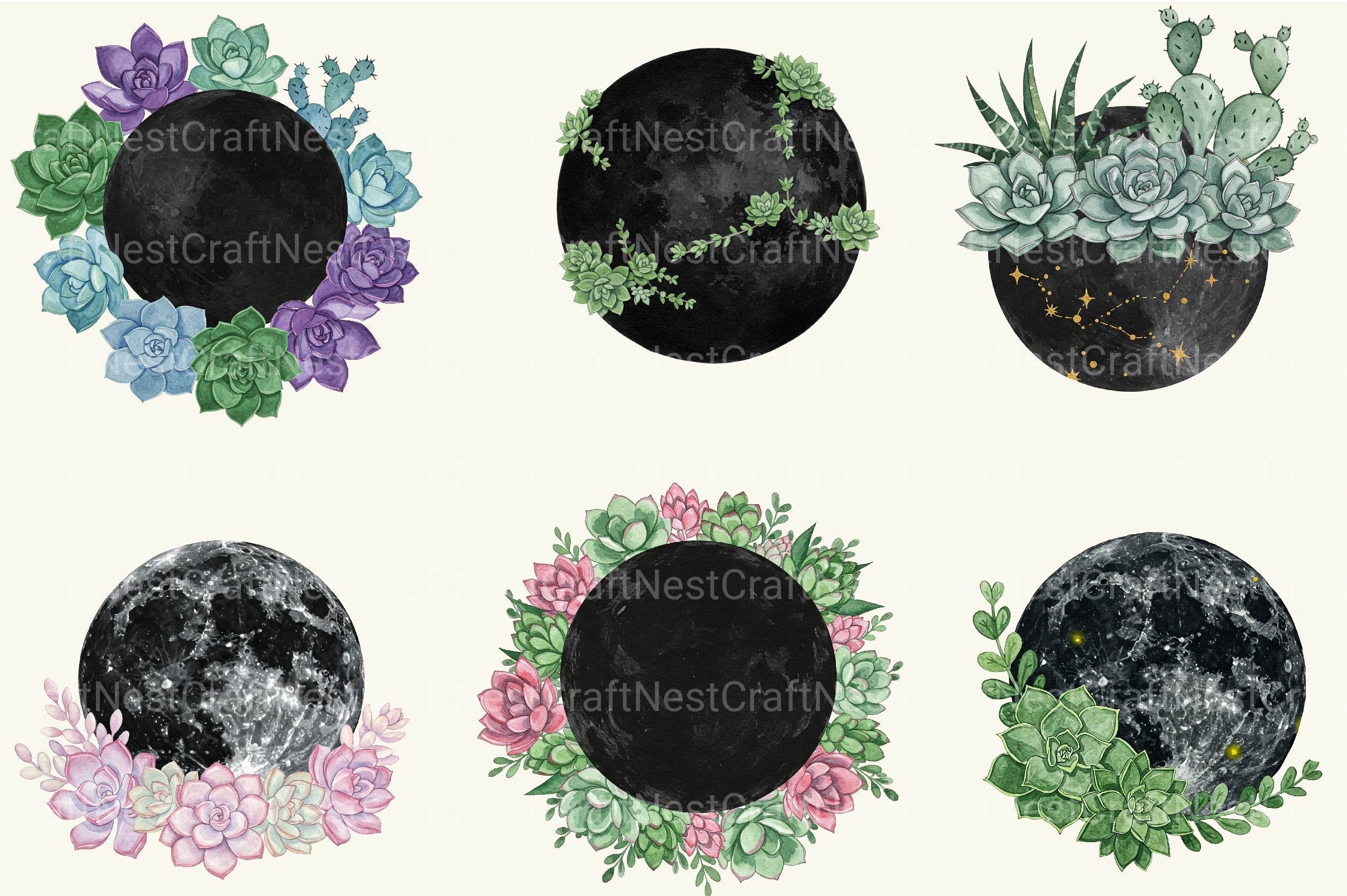 Succulent And Black Moon Clipart Bundle