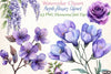 Purple Flowers Clipart Bundle
