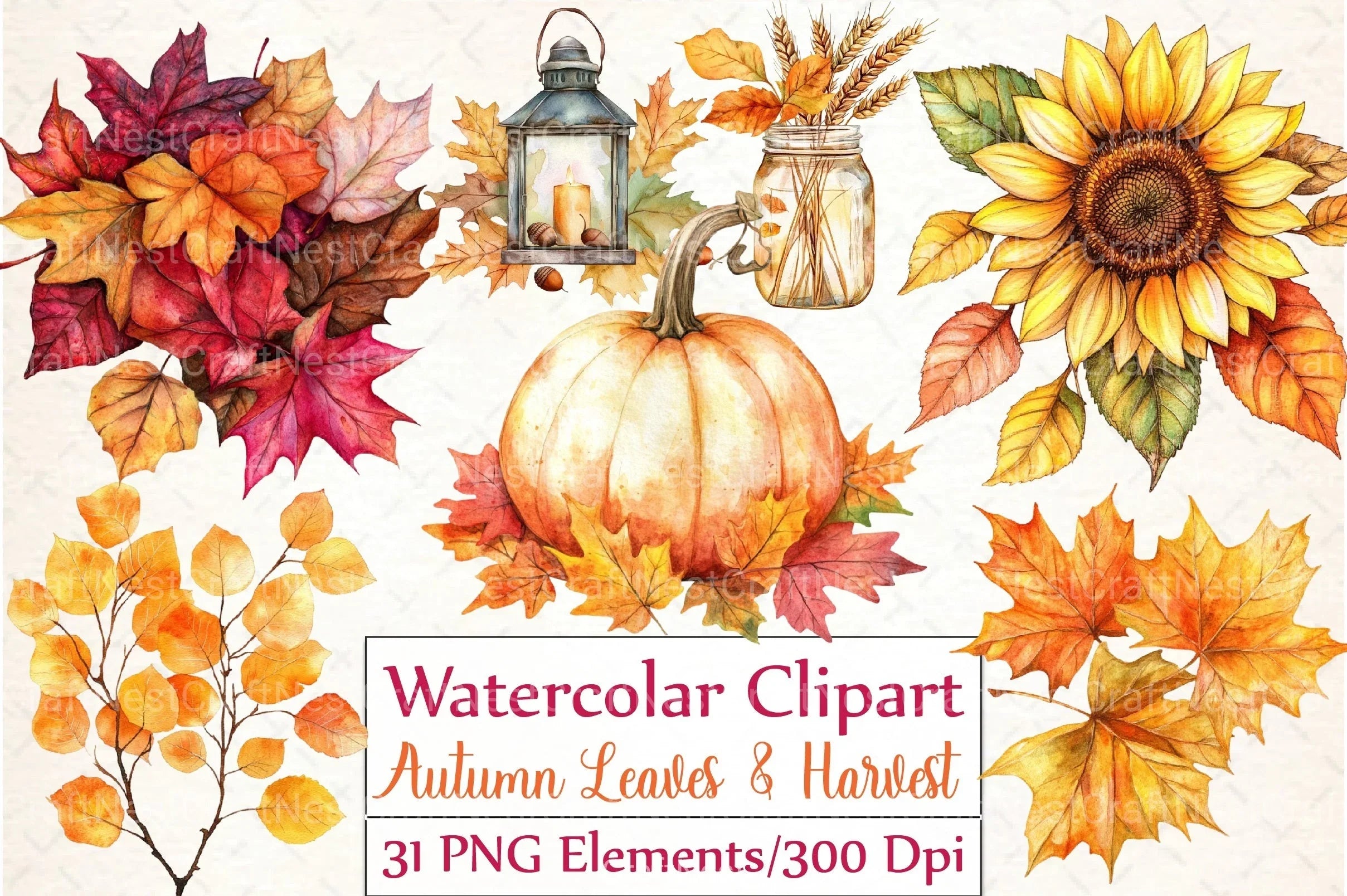 Autumn Leaves & Harvest Clipart Bundle - CraftNest - Digital Crafting and Art