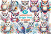 Bright Owl Clipart Bundle